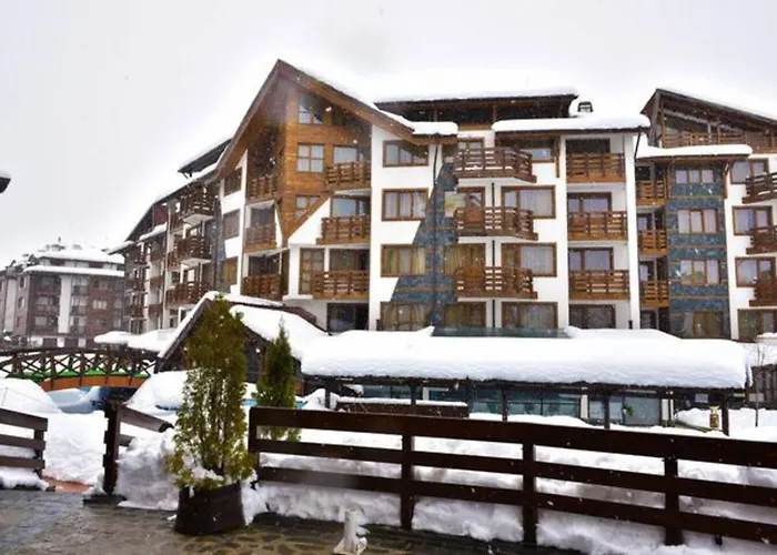 Exclusive And Paradise Stylish