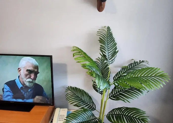 Exclusive And Paradise Stylish