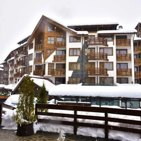 Exclusive And Paradise Stylish