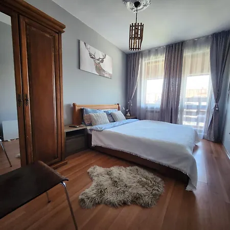 Exclusive And Paradise Stylish Daire Bansko